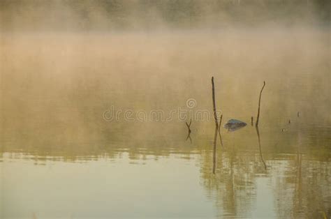 Morning Mist Over The Lake Stock Image Image Of Greenery Mountain