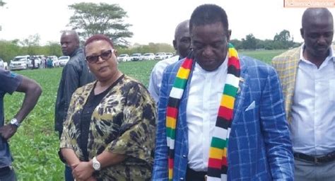 Unsettled Mnangagwa Reshuffles Army Chiefs Zimbabwe Situation