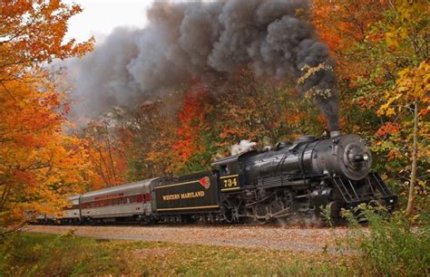 Take This Fall Foliage Train Ride Through Maryland For A One Of A Kind