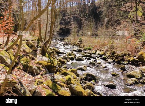 Cascades On A Clear Creek In The Forrest Stock Photo Alamy
