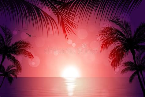 Tropical Evening Party Stock Photo Image Of Cool Dancer 39246712