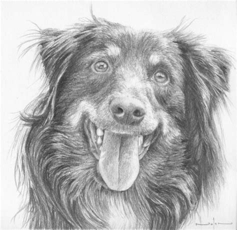 How to make your frenchie dog happy. Join Nolan Clark on a 3 week pencil drawing course during ...