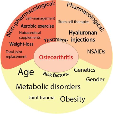 of the risk factors for the development of osteoarthritis and the download scientific diagram