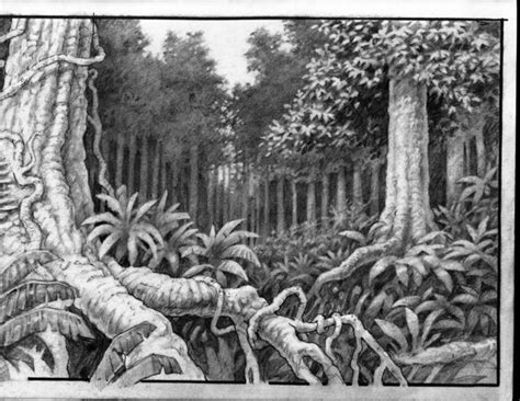 Jungle Sketch By Scratchmark Jungle Drawing Tree Roots Sketch