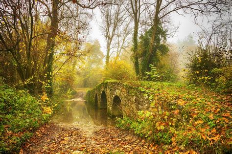 Bridge In Autumn Forest 4k Ultra Hd Wallpaper Background Image