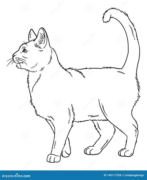 Vector Outline Sketch Of A Standing Cat Stock Illustration