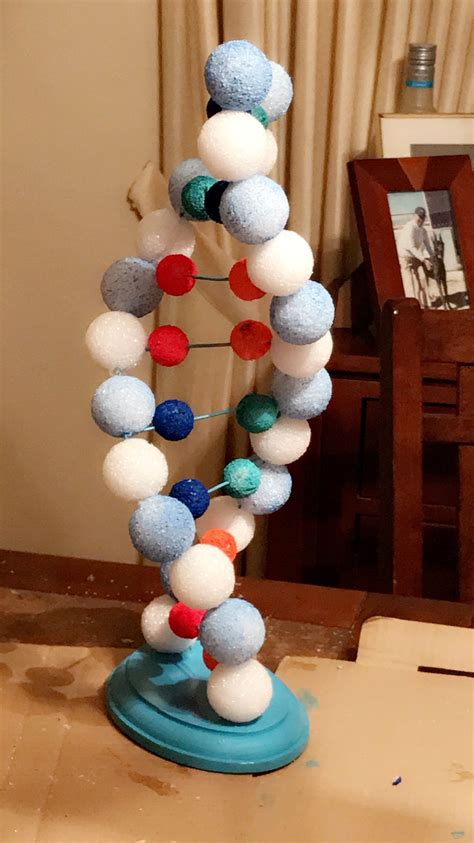 Dna Model Made From 2x4 Inch Wire Mesh And Styrofoam Balls Dna Model