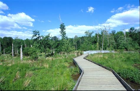 Huntley meadows park, the largest park operated by the fairfax county park authority, is located in the hybla valley area of fairfax county,. Panoramio - Photo of Huntley Meadows Park