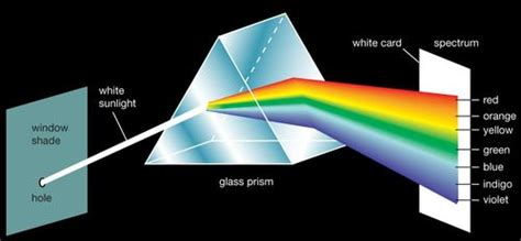 This is an example of ____ reflection off a ____ surface. Reflection and Refraction of light | Science Quiz - Quizizz