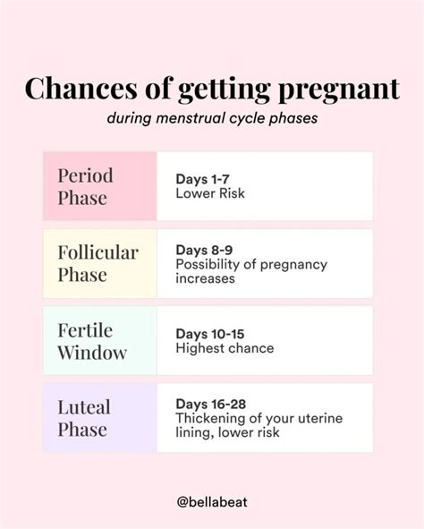 Can You Get Your Period While Pregnant Usa Service News Today Animaths Com