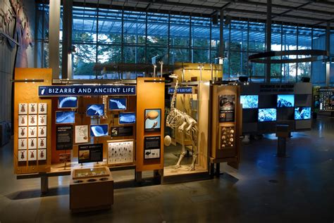 Asm abbreviation stands for academy of sciences malaysia. First Circle Design | California Academy of Sciences - San ...