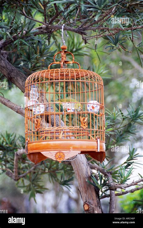 Caged Bird Hi Res Stock Photography And Images Alamy