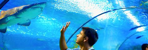 Here is the definitive list of baseball coaches near your location as rated by your neighborhood community. The 10 Best Aquarium Professionals Near Me (with Free ...