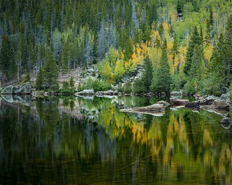 Forest Lake Reflection Trees Hd Wallpaper Peakpx