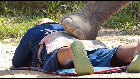 Thailand Tourists Get Massaged By Ton Elephants Abc News