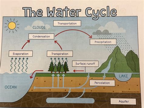Doodle Notes The Water Cycle Diagram Quizlet