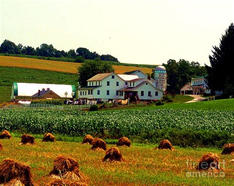 Amish Farm On Laundry Day Photograph By Desiree Paquette Fine Art America
