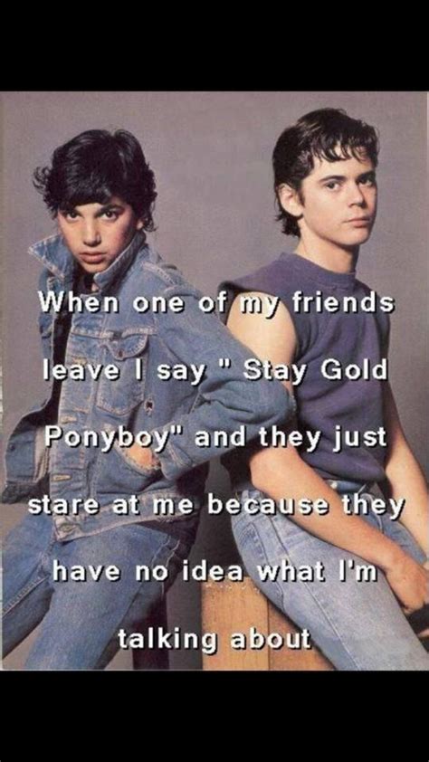 Get all the details, meaning, context, and even a pretentious factor for good measure. Stay gold! | Stay gold ponyboy, Stay gold, The outsiders