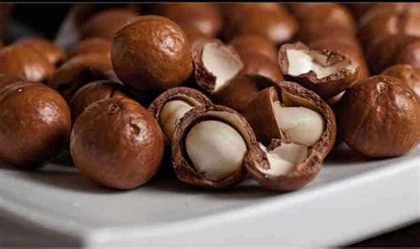 Macadamia nuts are exceptionally flavorful, so that they will make an excellent addition to your pantry. Indigenous Crop: Macadamia: Australia's national nut ...