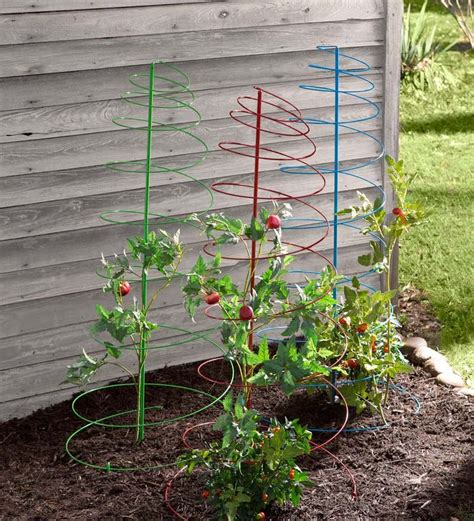 Colorful Spiral Plant Stakes Set Of 3 Garden Tools Tomato Planter
