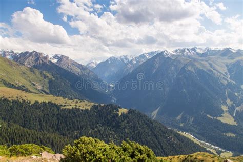 Mountain Summer Landscape Snowy Mountains And Green Grass Stock Image