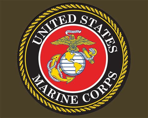 United States Marine Corps Seal Usmc Emblem 5 Round Vinyl Decal