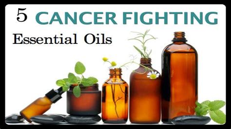 According to the american thyroid association, women are five to eight times more likely to develop thyroid problems than men. 5 Herbal Essential Oils That Are Proven to Kill Cancer Cells