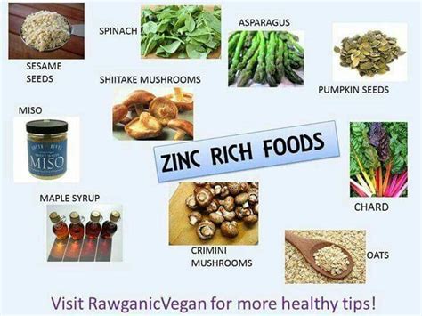 Zinc Rich Foods Zinc Rich Foods Vitamin A Foods Zinc Foods