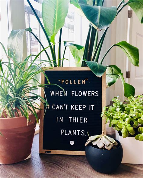 Quotes About Plants Kampion