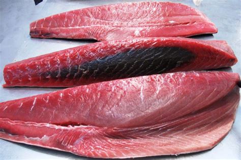 Food Poisoning From Fish Ciguatera And Scombroid