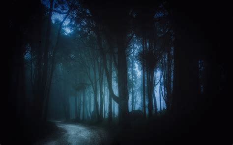 papel de parede Árvores panorama floresta preto sombrio noite natureza névoa estrada