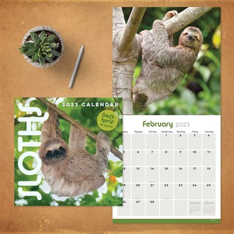 Tf Publishing 2023 Sloths Wall Calendar Wall Calendars Michaels
