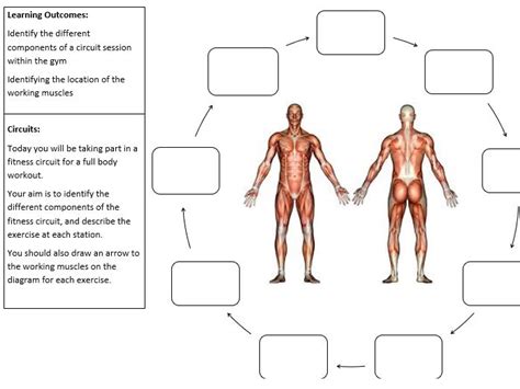 Components Of Fitness Gym Worksheet Teaching Resources