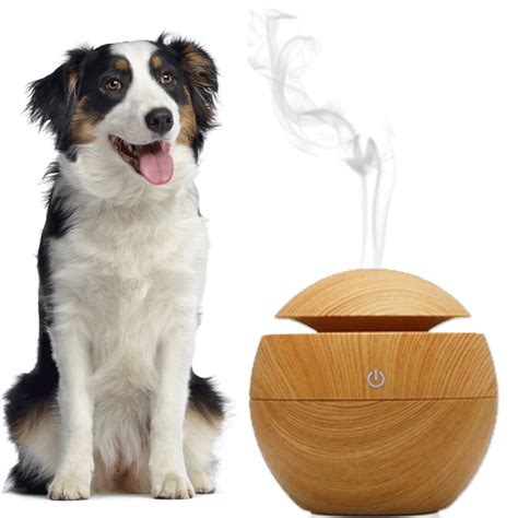 Is Peppermint Oil Safe For Dogs To Breathe Is It Safe
