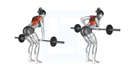 Barbell Bent Over Row Guide Benefits And Form