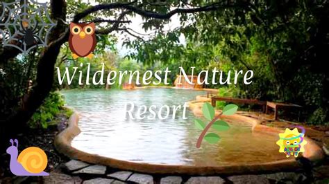 Wildernest Nature Resort Goa Eco Resorts In Goa Wildernest Resort