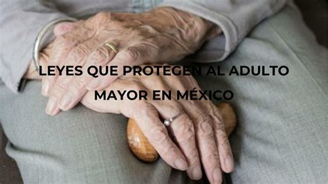 Leyes que Protegen al Adulto Mayor en México Patricia Castillo uDocz