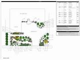 Xeriscape Landscape Design Plans