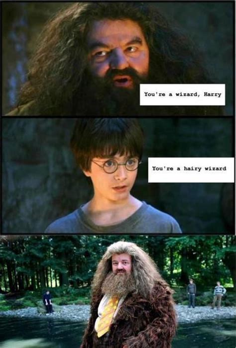 Youre A Wizard Harry Youre A Hairy Wizard Harry Potter Love
