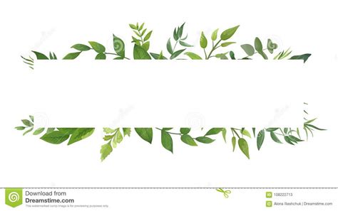 Green Fern On White Side View 3d Illustration
