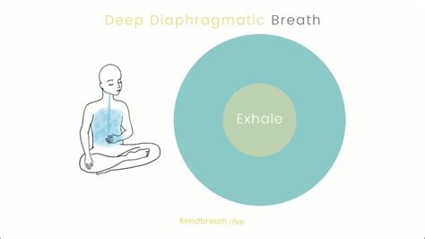 Deep Diaphragm Breathing Exercise 1 Minute Breathing Technique