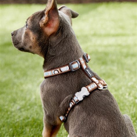 Red Dingo Designer Circadelic Dog Harness Brown Small