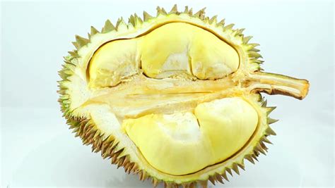 Resep membuat lempok durian khas pontianak bisa menjadi alternatif buat anda yang ingin mengawetkan durian agar tahan lama disimpan. Asal Usul Pembuatan Dodol Durian | Lempok Durian Pontianak