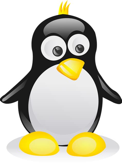 Download Penguin Bird Animal Royalty Free Vector Graphic Pixabay