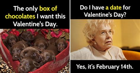 25 hilarious valentine s day memes for everyone celebrating or not bouncy mustard