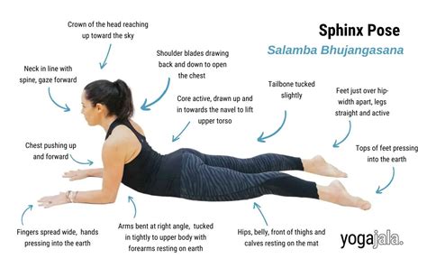 Sphinx Pose Salamba Bhujangasana