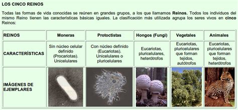 Ciencias Naturales Clasificación De Los Seres Vivos