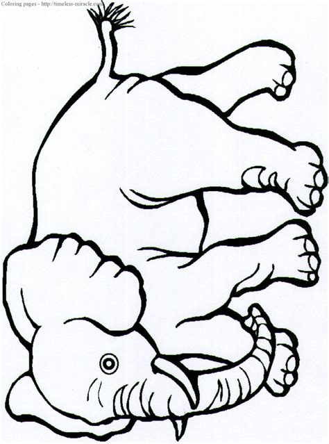 Safari Animals Coloring Pages Photo 3 Timeless
