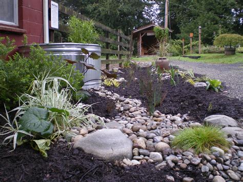 Create the rain garden by building a berm in a low spot in the yard, then build swales to channel runoff from the gutters and higher parts of the yard. What Is a Rain Garden | Rain garden, Backyard, Garden