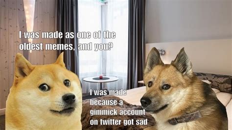 Doges Collide Doge 2 Caesar Know Your Meme